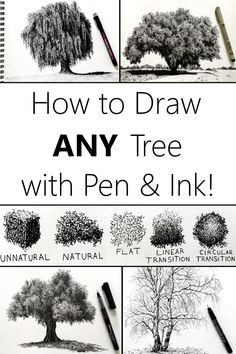 how to draw any tree with pen and ink