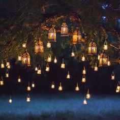 many lit up lanterns hanging from a tree