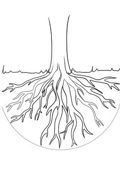 a drawing of a tree with its roots exposed