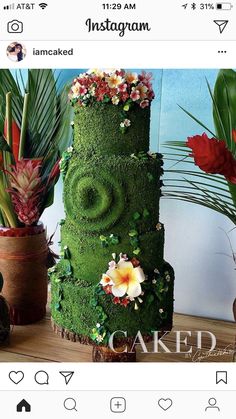 a cake made to look like a face is surrounded by plants and other flowers on a table