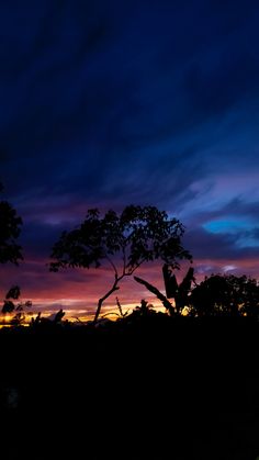 the sky is purple and blue as the sun sets in the distance with trees silhouetted against it