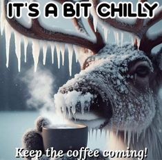 a reindeer drinking coffee with icicles on it's face and the words, it's a bit chilly keep the coffee coming