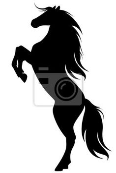 the silhouette of a horse is shown in black and white, with long manes