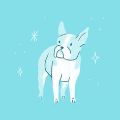 a white dog standing in the snow with stars around it's neck and nose