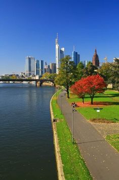 a view of the city skyline from across the river with a path leading to it