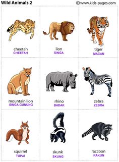 an animal chart with different types of animals