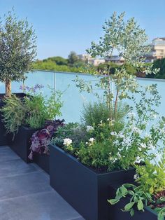 a row of black planters filled with different types of flowers and plants next to a blue wall