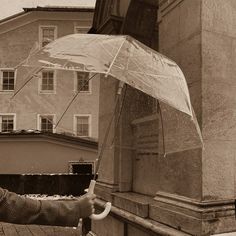 a woman holding an umbrella over her head while standing in front of a tall building