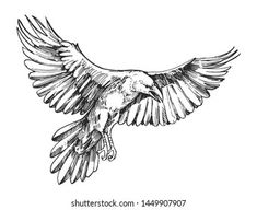 a black and white drawing of a bird with its wings spread out in the air