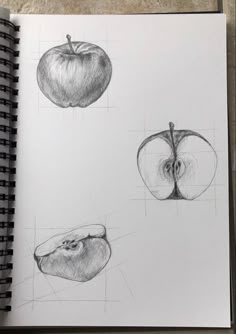 pencil drawing of three apples and one apple