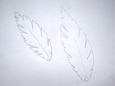 two feathers are drawn on a white paper