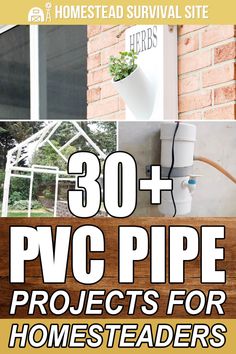 the cover of 30 + pwc pipe projects for homesteaders