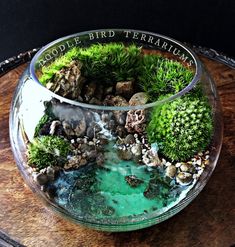 a glass bowl filled with green plants and rocks on top of a wooden table next to a sign that says good bird terrarium