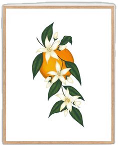 an orange with white flowers and green leaves on a white background, framed in wood