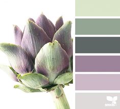 an artichoke is shown in shades of green, purple and grey with white