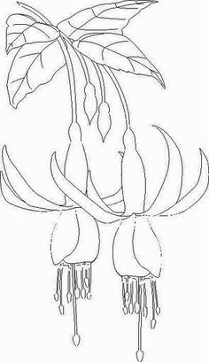 a drawing of a flower with long, thin stems and large flowers in the center