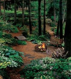 a fire pit in the middle of a forest filled with lots of trees and plants