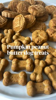 pumpkin peanut butter dog treats on a plate with the words, pumpkin peanut butter dog treats