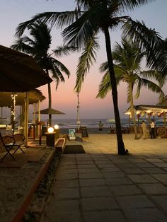 palm trees line the beach at dusk with people sitting under umbrellas and lounge chairs