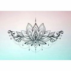 a drawing of a lotus flower on a wall