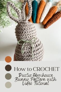 a crochet bunny is shown with the text how to crochet rustic farmhouse bunnies with video instructions