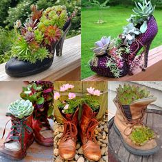 there are many different shoes with plants in them