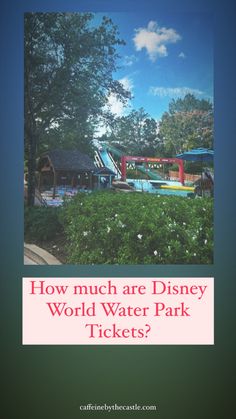 how much are disney world water park tickets?