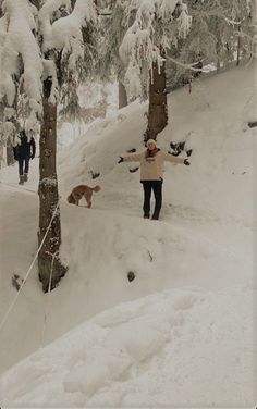 a person walking in the snow with two dogs on leashes next to some trees