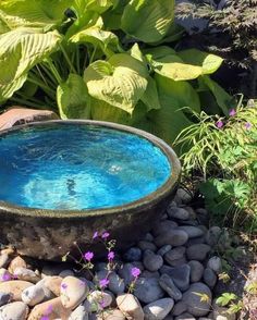 a bowl shaped water fountain surrounded by rocks and flowers