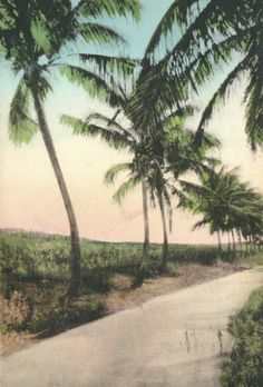 an oil painting of palm trees on the side of a road with a pink sky in the background