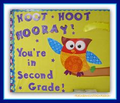 a bulletin board with an owl sitting on a tree branch and the words hoot hooray you're in second grade