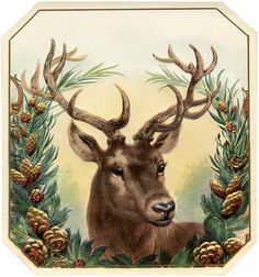 a painting of a deer with antlers and pine cones on it's head