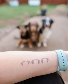 a woman's arm with three dogs behind her and one dog on the other side