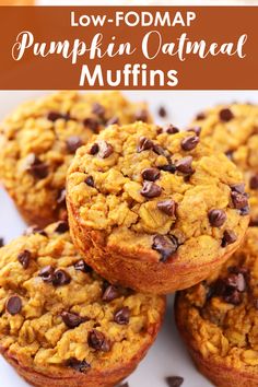 low fodmap pumpkin oatmeal muffins with chocolate chips on top