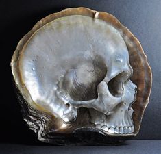 a large silver plate with a skull on it's side and a black background