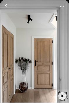 a vase with some plants in it sitting on the floor next to two wooden doors