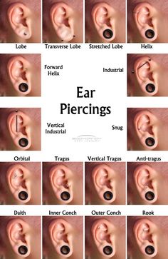 different types of ear piercings are shown in this diagram, which shows the location of each