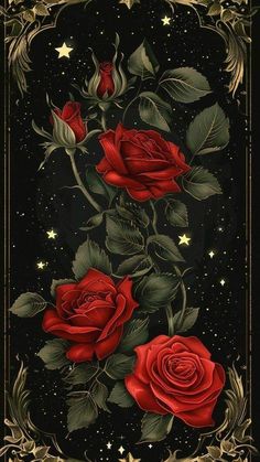 two red roses on a black background with stars