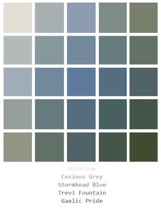 the color scheme for soft warm gray, warm green and warm grey with text that reads spot warm grey 8 apalalosa spanish moss macchite