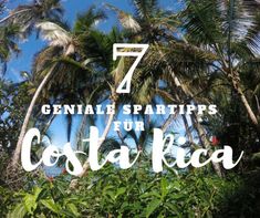 palm trees with the text 7 genial sparit tips fur costa rica