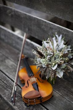 a violin and some flowers on a bench