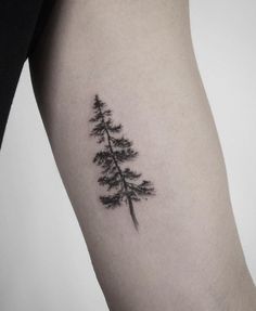 a small pine tree tattoo on the arm