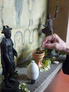 a hand reaching for a potted plant in front of a statue