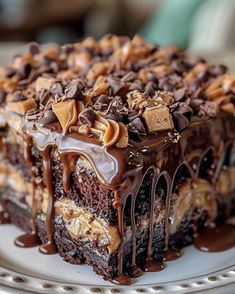 a piece of cake on a white plate with chocolate drizzles and nuts