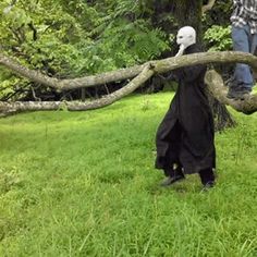 two people standing in the grass near a fallen tree branch with a skull head on it