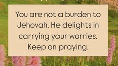 an image of a field with pink flowers and a quote on it that says, you are not a burden to jehovan he delights in carrying your worriess keep on praying