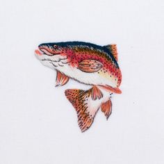 a drawing of a fish on white paper