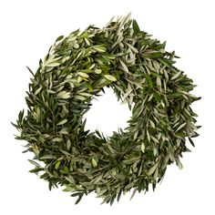 an olive wreath is shown on a white background