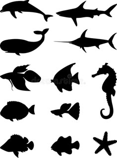 sea animals silhouettes on white background royalty illustration