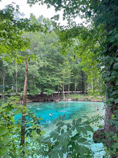 a blue pool surrounded by trees in the woods with people swimming and playing on it